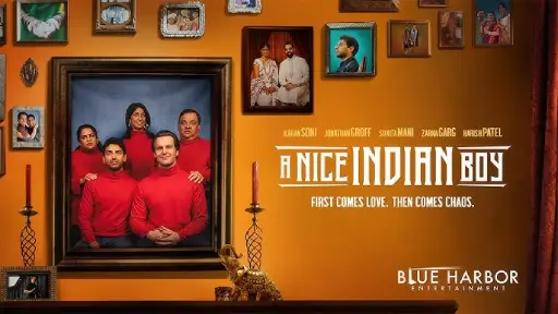 Synopsis-of-A-Nice-Indian-Boy-2025