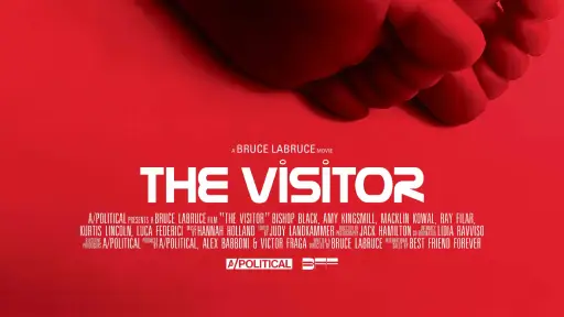 Synopsis-of-the-Movie-The-Visitor-2024.